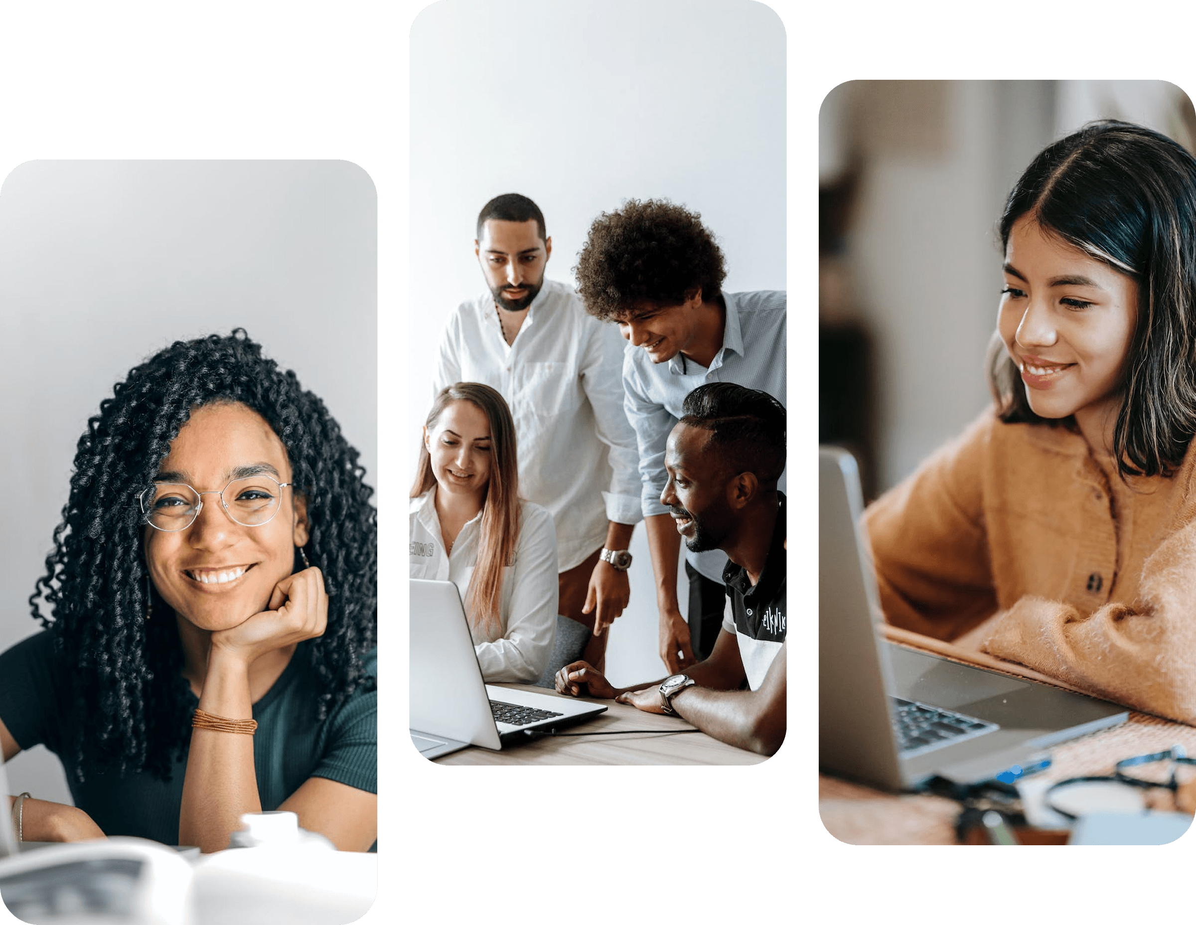 Management Dashboard Preview